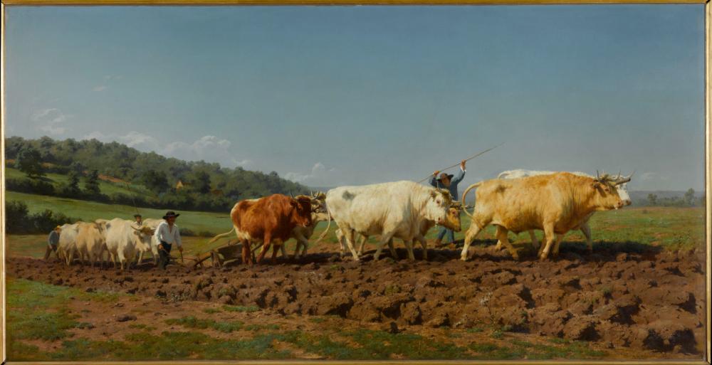 Rosa Bonheur, Labourage nivernais, 1849, Musée d'Orsay © RMN-Grand Palais / Michel Urtado